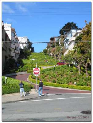 Lombard Street - Crookedest street