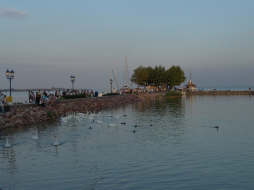 Original image