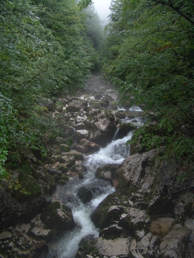 Original image