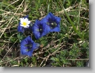 DSC08124 * 3264 x 2448 * (3.57MB)