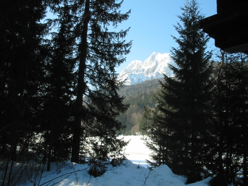 Original image