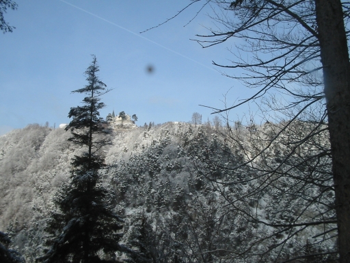 Original image