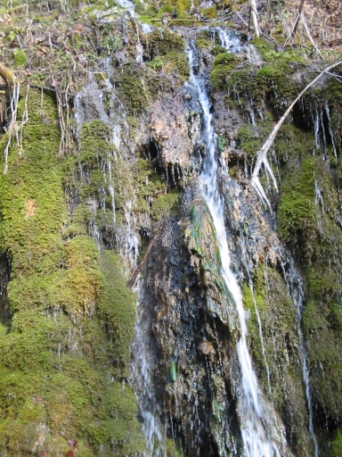 Original image