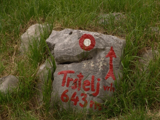 Original image